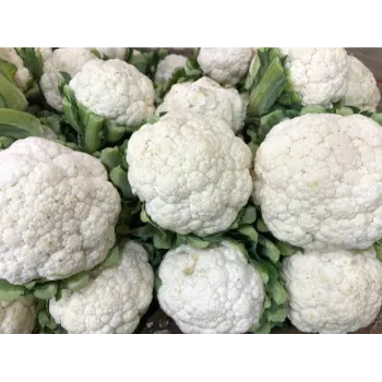 Cauliflower (29)-8531328-48807.webp